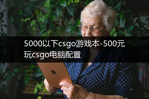 5000以下csgo游戏本-500元玩csgo电脑配置