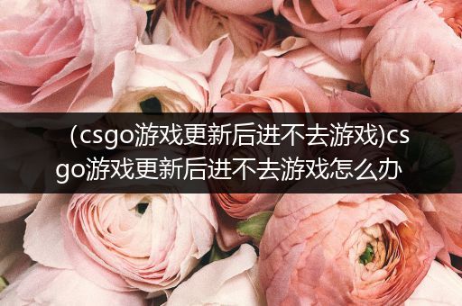 （csgo游戏更新后进不去游戏)csgo游戏更新后进不去游戏怎么办