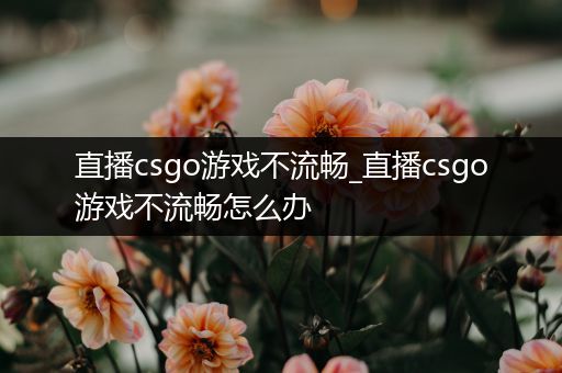 直播csgo游戏不流畅_直播csgo游戏不流畅怎么办