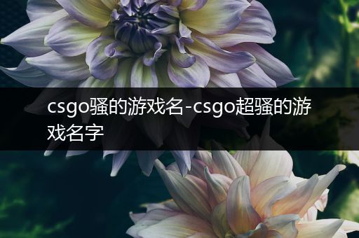 csgo骚的游戏名-csgo超骚的游戏名字