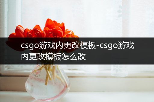 csgo游戏内更改模板-csgo游戏内更改模板怎么改