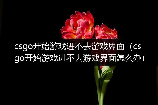 csgo开始游戏进不去游戏界面（csgo开始游戏进不去游戏界面怎么办）