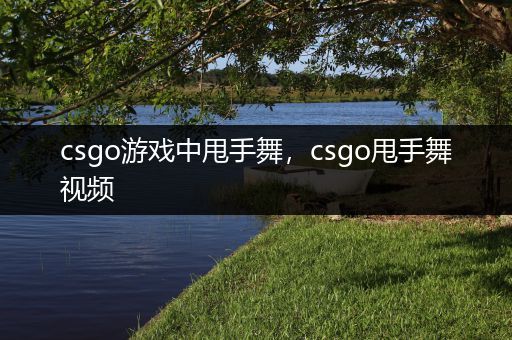 csgo游戏中甩手舞，csgo甩手舞视频