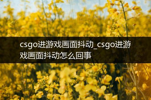 csgo进游戏画面抖动_csgo进游戏画面抖动怎么回事