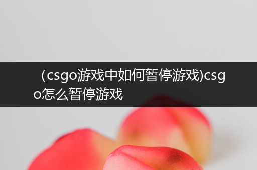 （csgo游戏中如何暂停游戏)csgo怎么暂停游戏