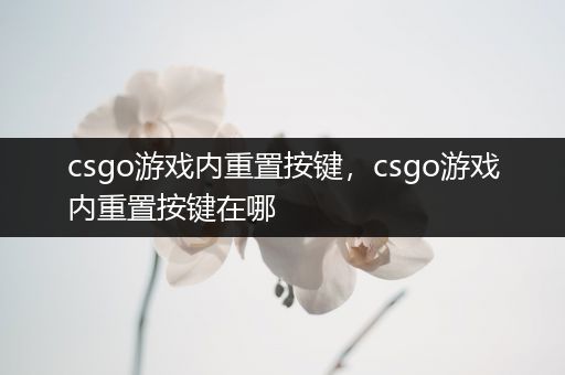 csgo游戏内重置按键，csgo游戏内重置按键在哪