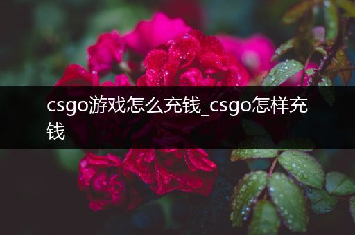 csgo游戏怎么充钱_csgo怎样充钱