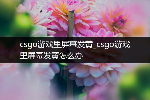 csgo游戏里屏幕发黄_csgo游戏里屏幕发黄怎么办