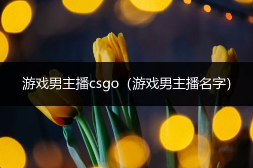 游戏男主播csgo（游戏男主播名字）