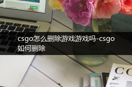 csgo怎么删除游戏游戏吗-csgo如何删除