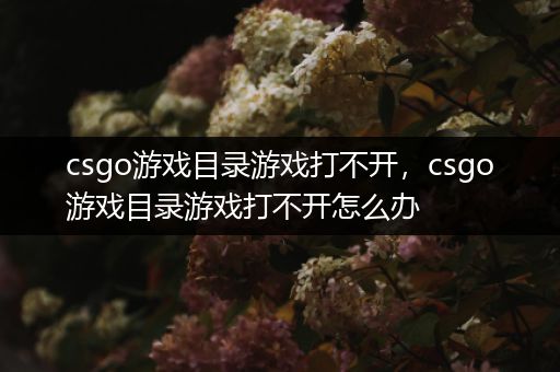 csgo游戏目录游戏打不开，csgo游戏目录游戏打不开怎么办
