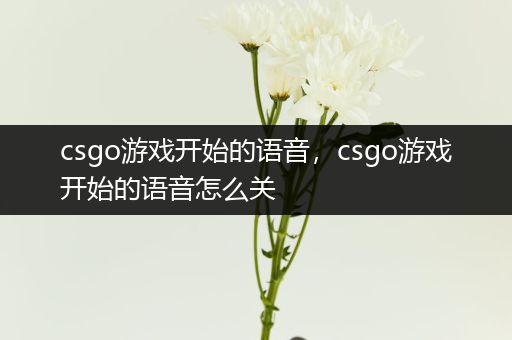 csgo游戏开始的语音，csgo游戏开始的语音怎么关