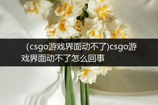 （csgo游戏界面动不了)csgo游戏界面动不了怎么回事