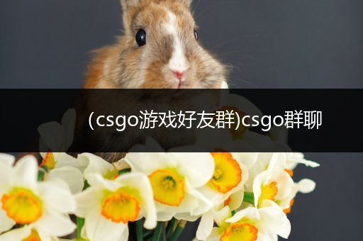 （csgo游戏好友群)csgo群聊