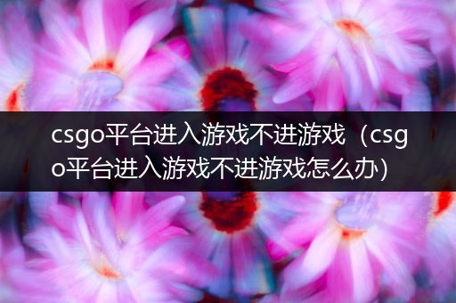csgo平台进入游戏不进游戏（csgo平台进入游戏不进游戏怎么办）