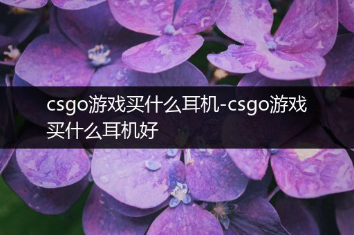 csgo游戏买什么耳机-csgo游戏买什么耳机好