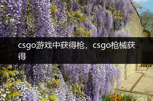 csgo游戏中获得枪，csgo枪械获得