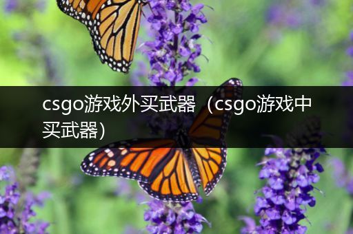 csgo游戏外买武器（csgo游戏中买武器）