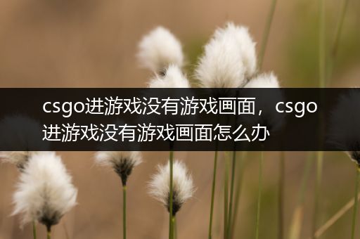 csgo进游戏没有游戏画面，csgo进游戏没有游戏画面怎么办