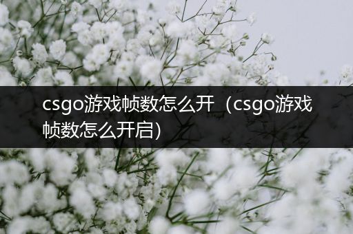 csgo游戏帧数怎么开（csgo游戏帧数怎么开启）