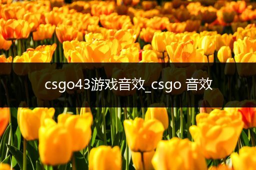 csgo43游戏音效_csgo 音效