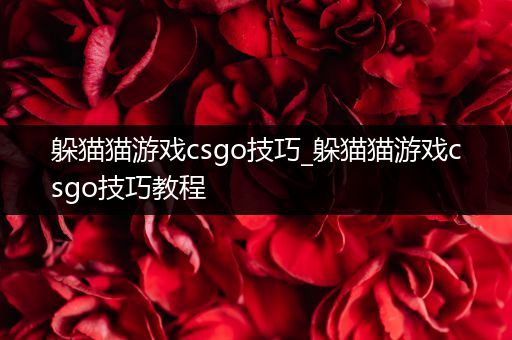 躲猫猫游戏csgo技巧_躲猫猫游戏csgo技巧教程