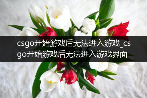 csgo开始游戏后无法进入游戏_csgo开始游戏后无法进入游戏界面