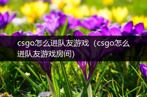 csgo怎么进队友游戏（csgo怎么进队友游戏房间）