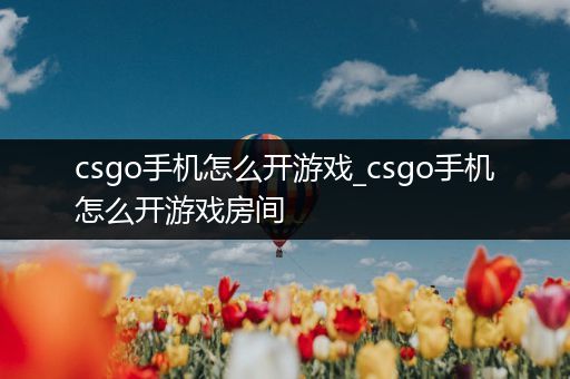 csgo手机怎么开游戏_csgo手机怎么开游戏房间