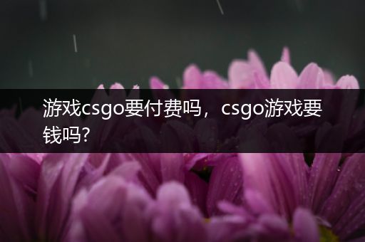 游戏csgo要付费吗，csgo游戏要钱吗?