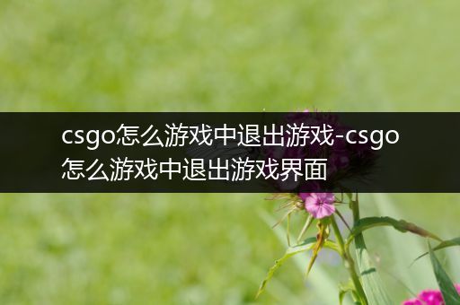 csgo怎么游戏中退出游戏-csgo怎么游戏中退出游戏界面