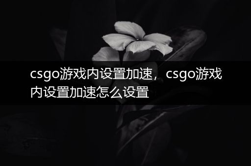 csgo游戏内设置加速，csgo游戏内设置加速怎么设置