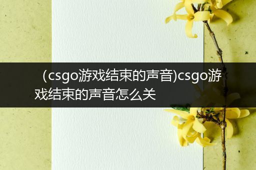 （csgo游戏结束的声音)csgo游戏结束的声音怎么关