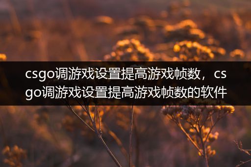 csgo调游戏设置提高游戏帧数，csgo调游戏设置提高游戏帧数的软件