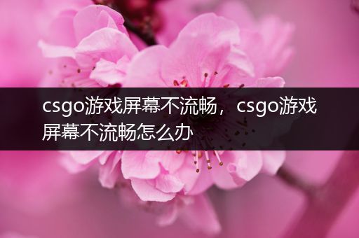 csgo游戏屏幕不流畅，csgo游戏屏幕不流畅怎么办