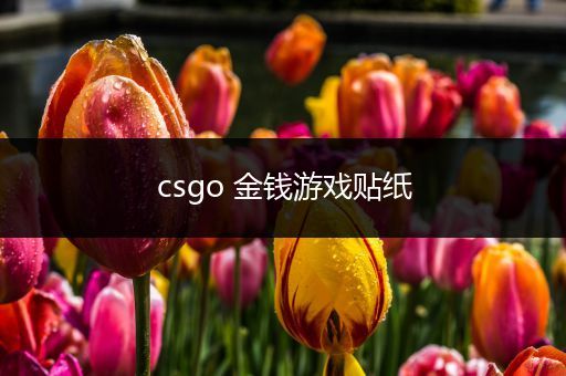 csgo 金钱游戏贴纸