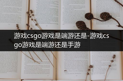 游戏csgo游戏是端游还是-游戏csgo游戏是端游还是手游