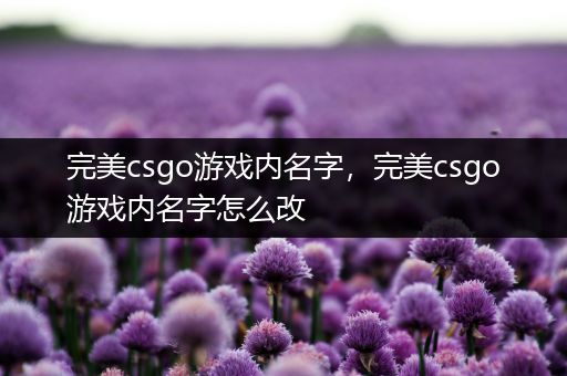 完美csgo游戏内名字，完美csgo游戏内名字怎么改