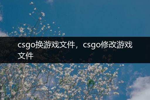 csgo换游戏文件，csgo修改游戏文件