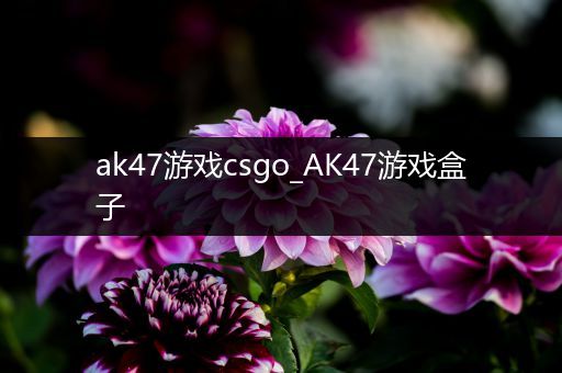 ak47游戏csgo_AK47游戏盒子