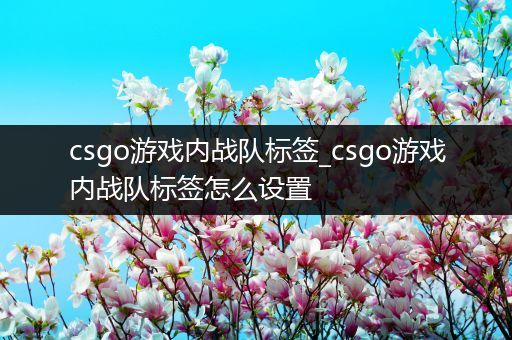 csgo游戏内战队标签_csgo游戏内战队标签怎么设置