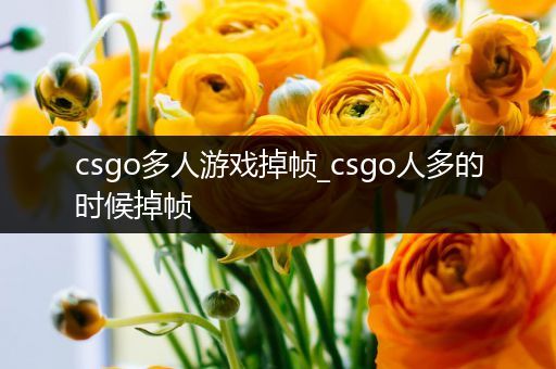 csgo多人游戏掉帧_csgo人多的时候掉帧