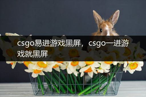 csgo易进游戏黑屏，csgo一进游戏就黑屏