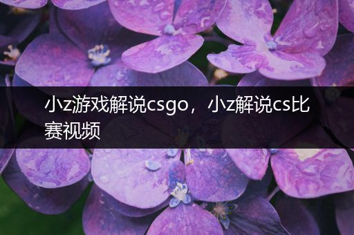 小z游戏解说csgo，小z解说cs比赛视频