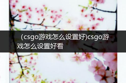 （csgo游戏怎么设置好)csgo游戏怎么设置好看