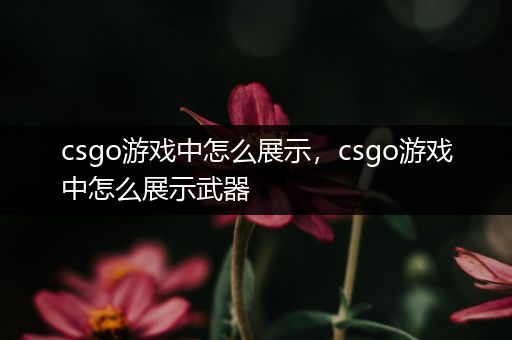 csgo游戏中怎么展示，csgo游戏中怎么展示武器