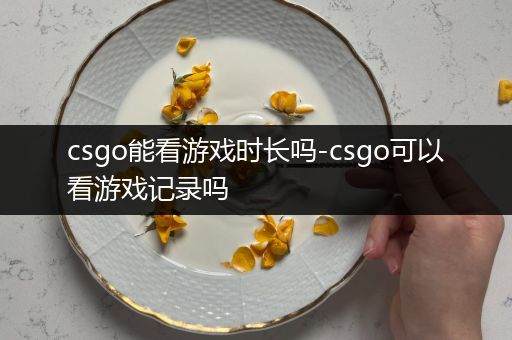 csgo能看游戏时长吗-csgo可以看游戏记录吗