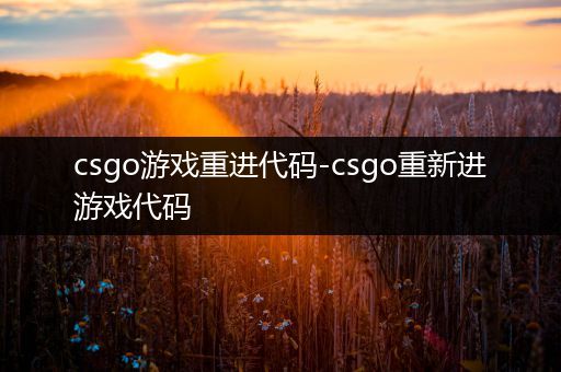 csgo游戏重进代码-csgo重新进游戏代码