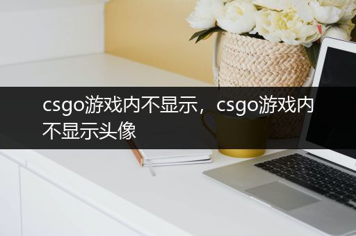 csgo游戏内不显示，csgo游戏内不显示头像