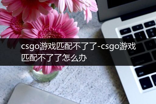 csgo游戏匹配不了了-csgo游戏匹配不了了怎么办